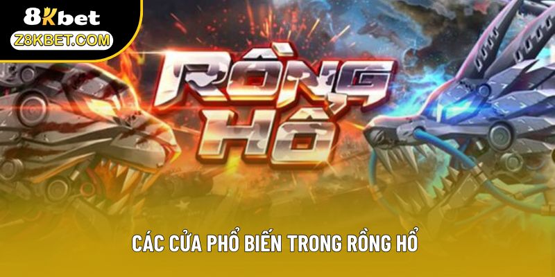 Các cửa phổ biến trong Rồng Hổ