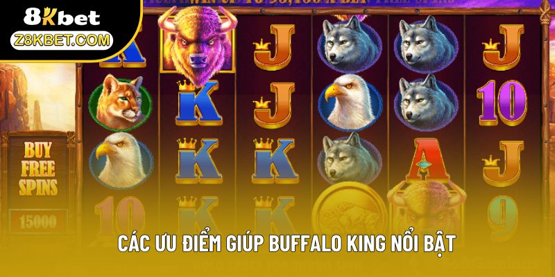 Các ưu điểm giúp Buffalo King nổi bật