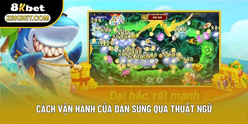 Cách vận hành của đạn súng qua thuật ngữ