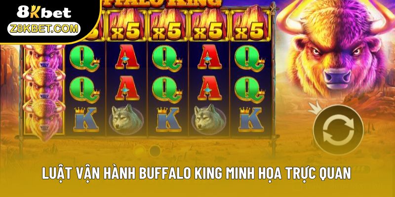 Luật vận hành Buffalo King minh họa trực quan