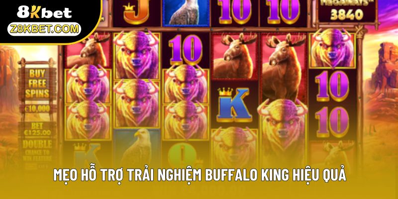 Mẹo hỗ trợ trải nghiệm Buffalo King hiệu quả
