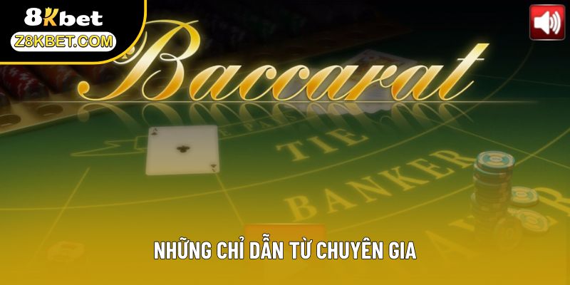 Những chỉ dẫn từ chuyên gia
